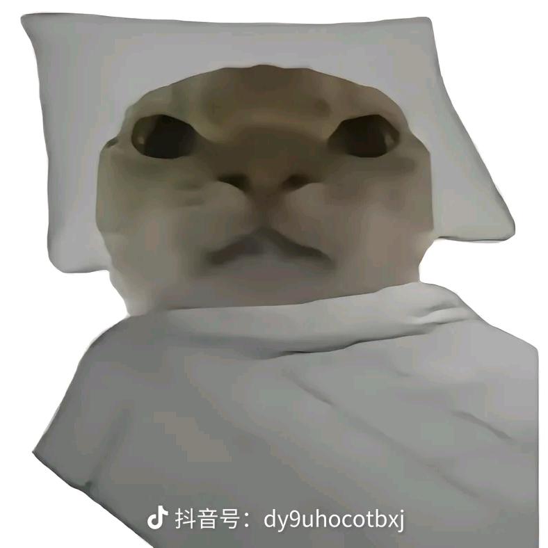 小小小鼠（三角洲）