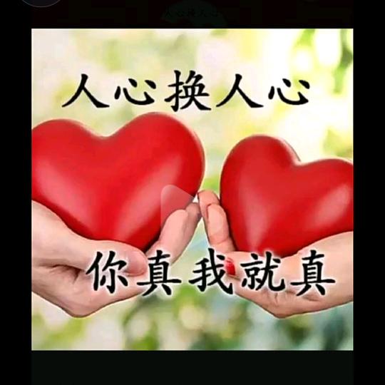 开心哥