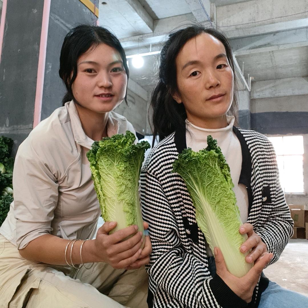 威宁娇妍甄选
