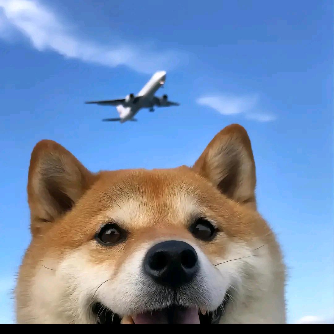 Æ慕言