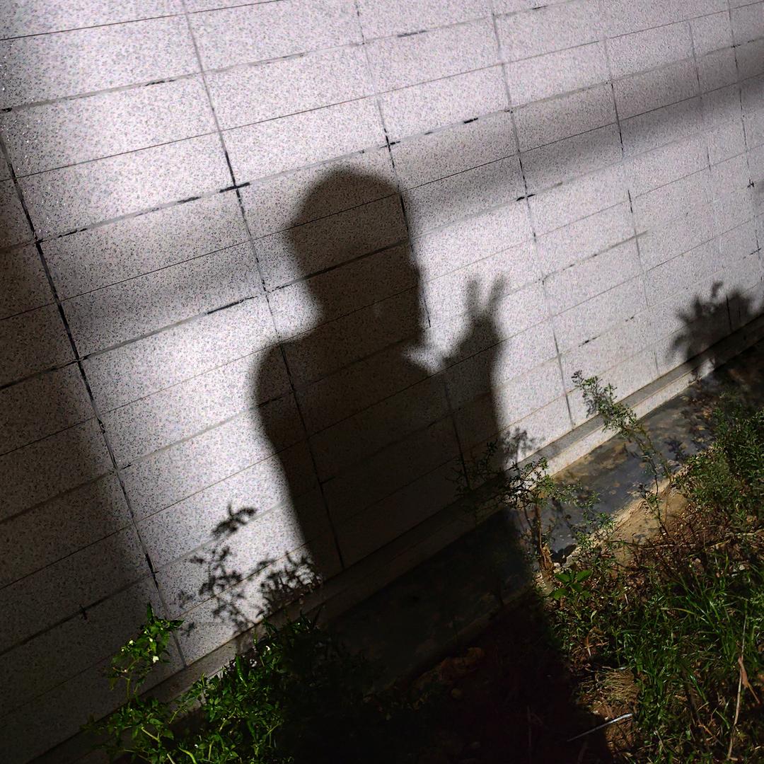 陈嘉