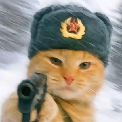 ── 展开999条回复 ⌵