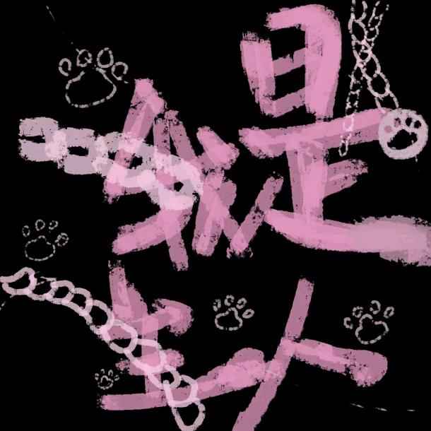 我天天熬夜