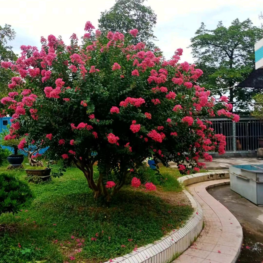吉安市泰和县石山乡中居家🌹