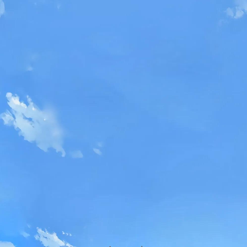 知知