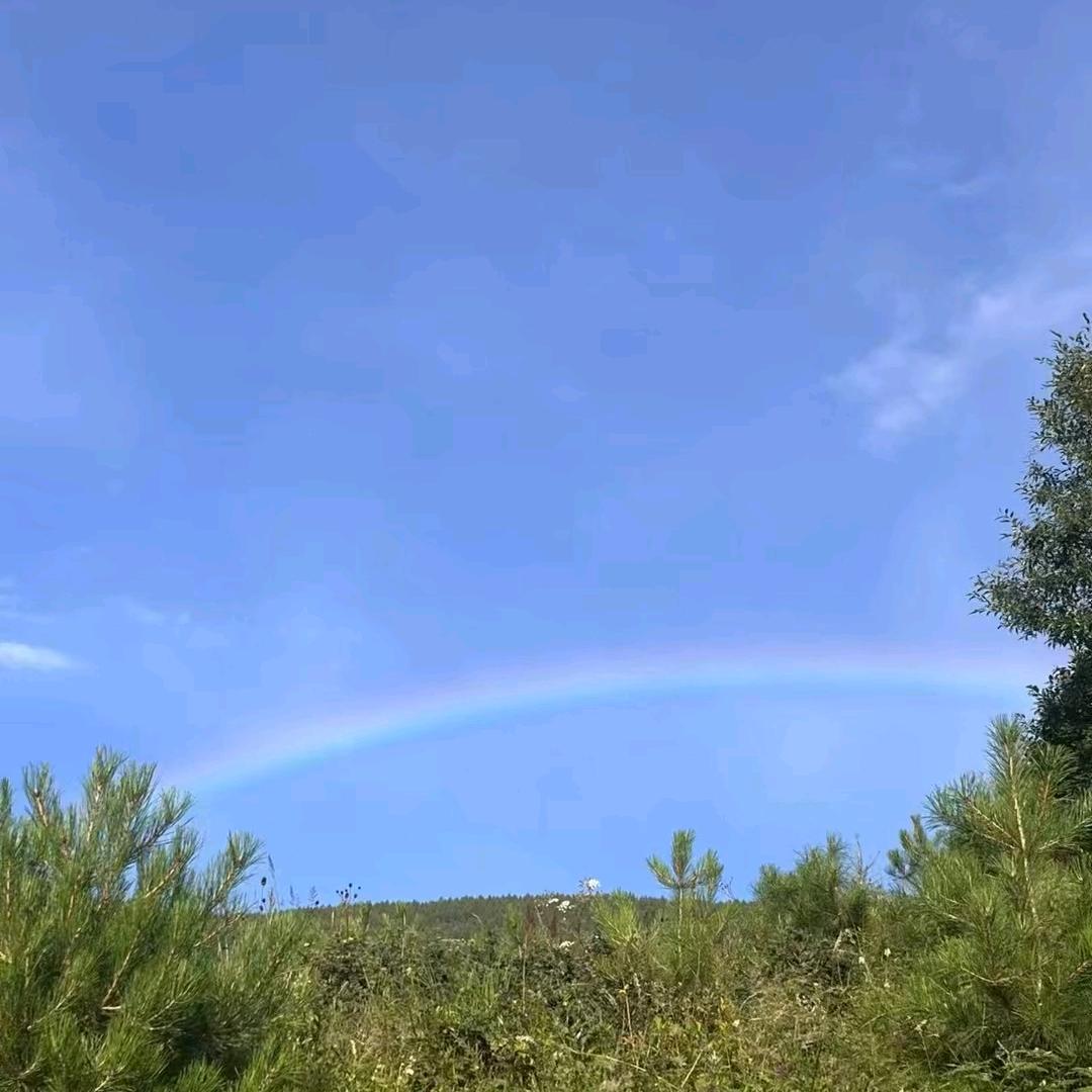 🌿半🍁颗🍀糖