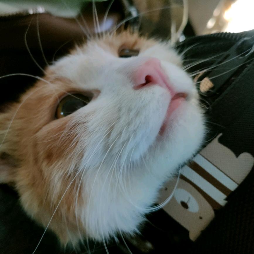 又活了一天