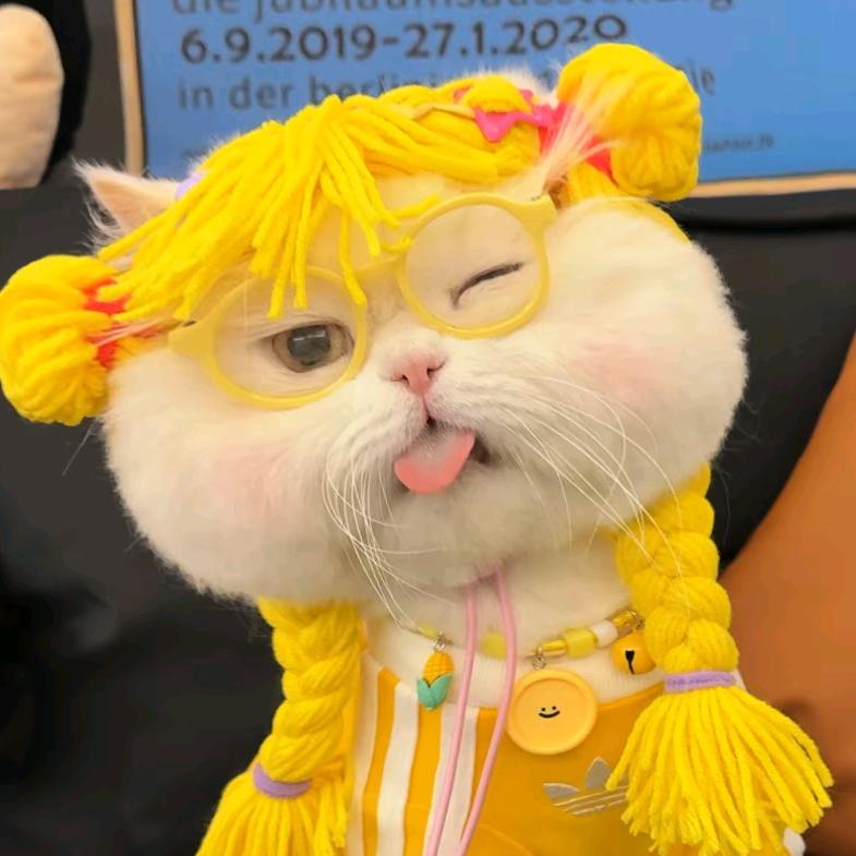 不渂