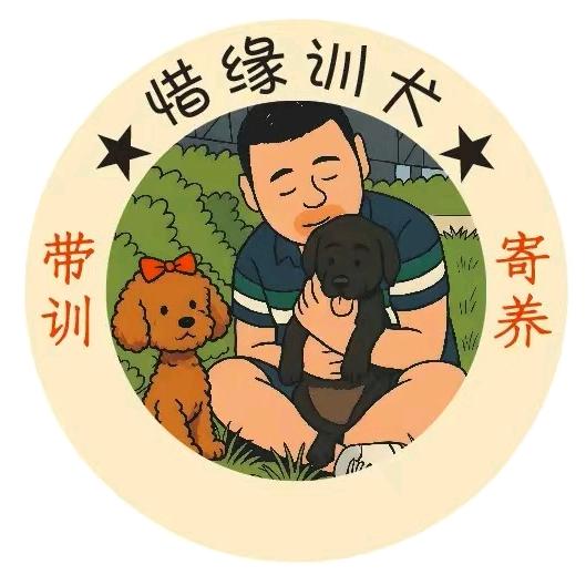 惜缘训犬(带训   寄养）