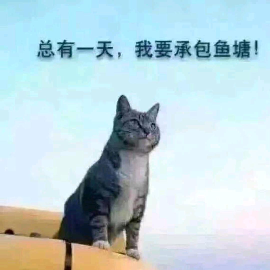 酒总在午夜醉
