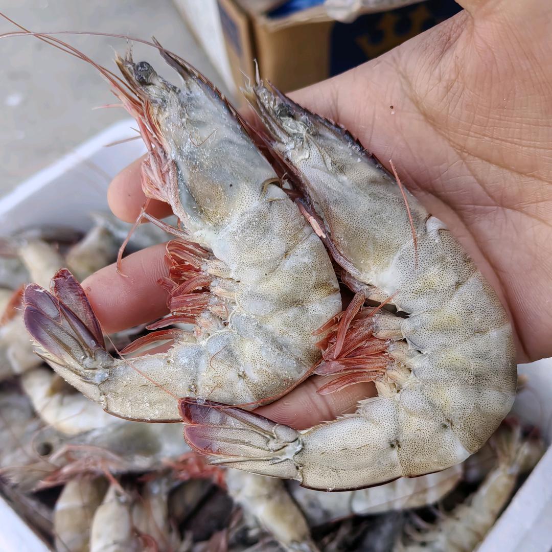 刘老板海鲜