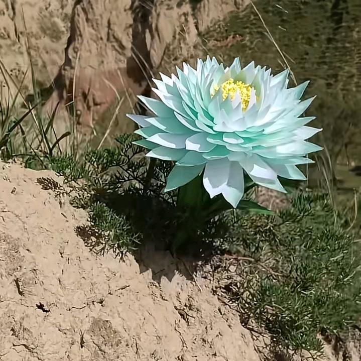 雄霸天下