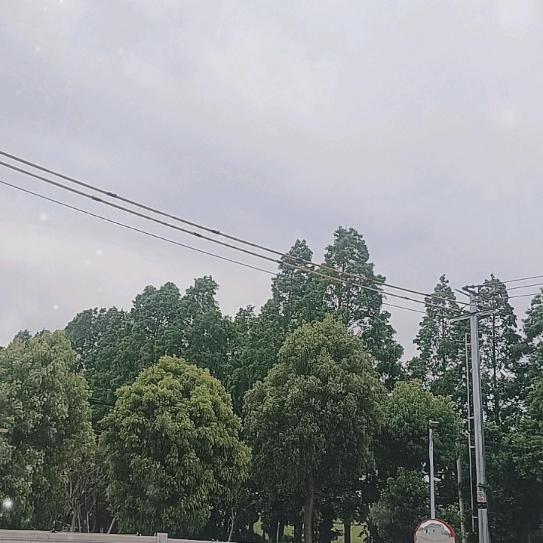 啊飞