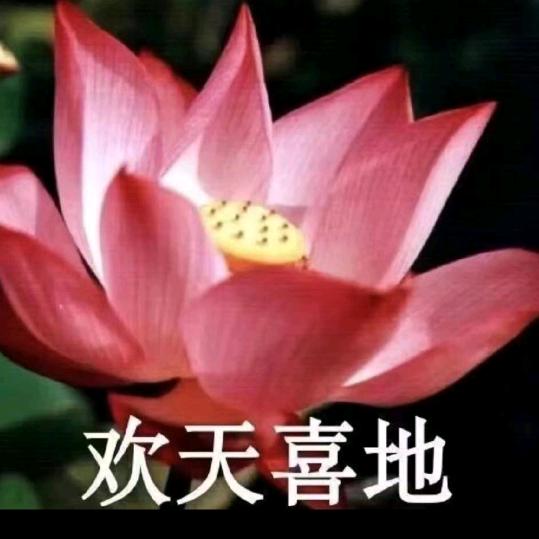 張姐