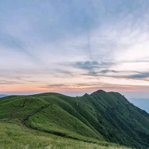 ，，，，，，，