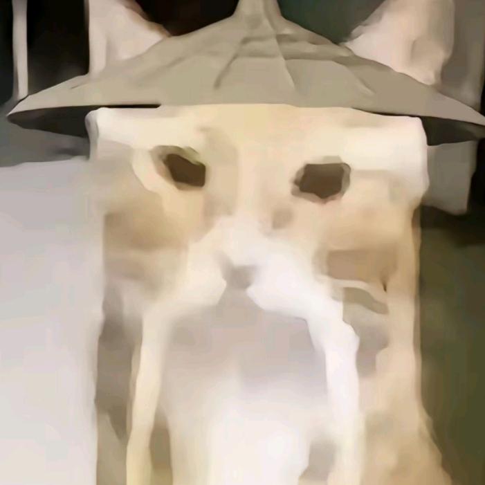 猫猫教你好自为之