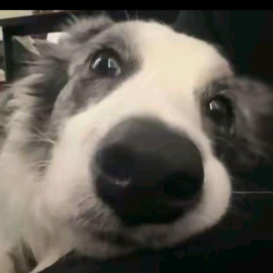 小草芸芸🌿☁️