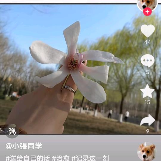 陌路离殇