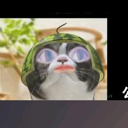 小黑