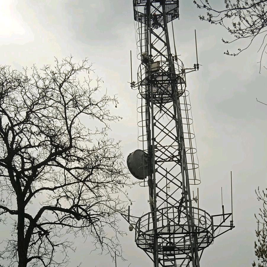 手机用户73763338835