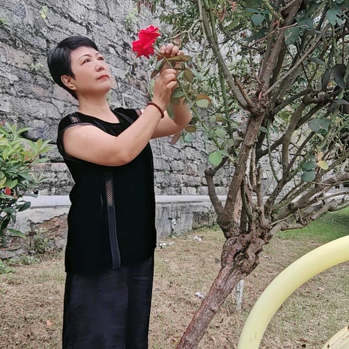 本质的我永远的幸福