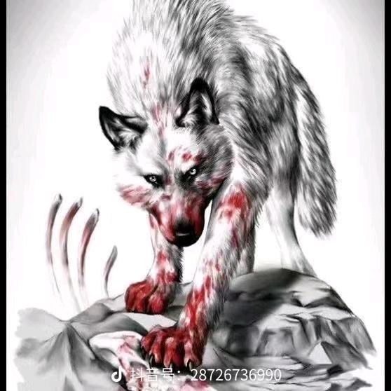 ＊用户已注销＊