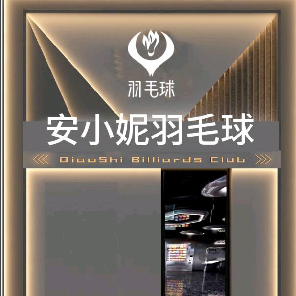 华新镇～安妮羽毛球馆