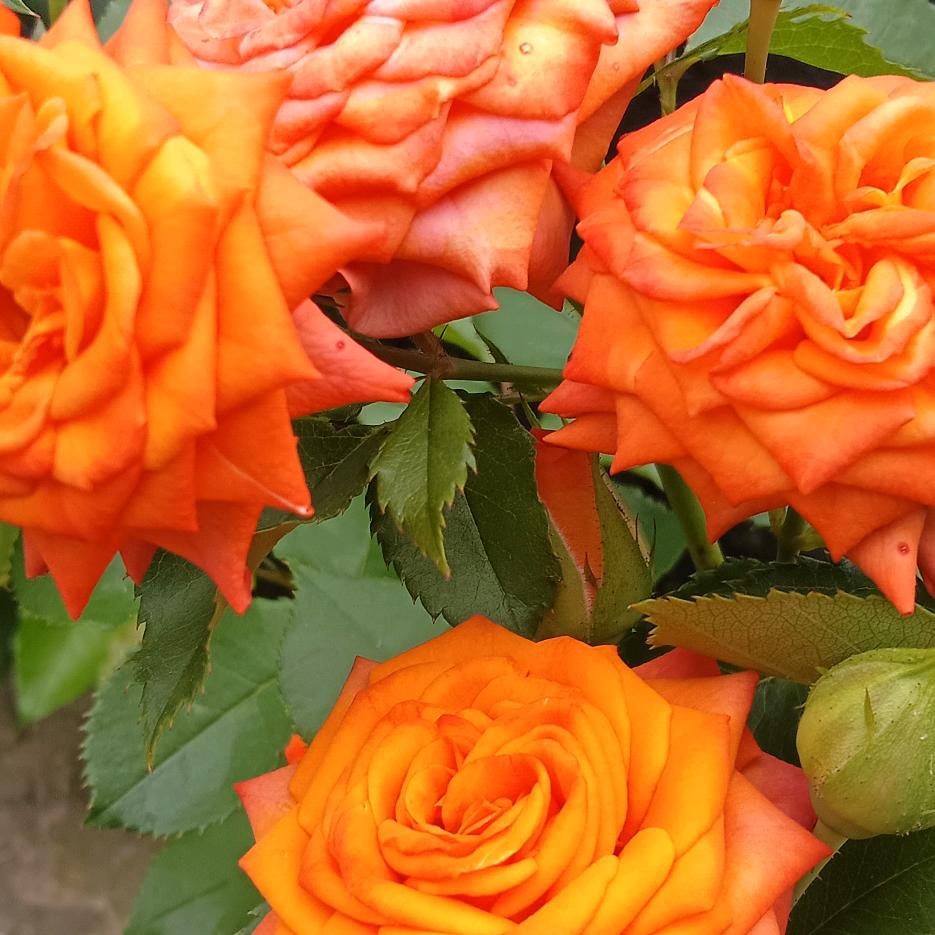 回想二十几岁的时候