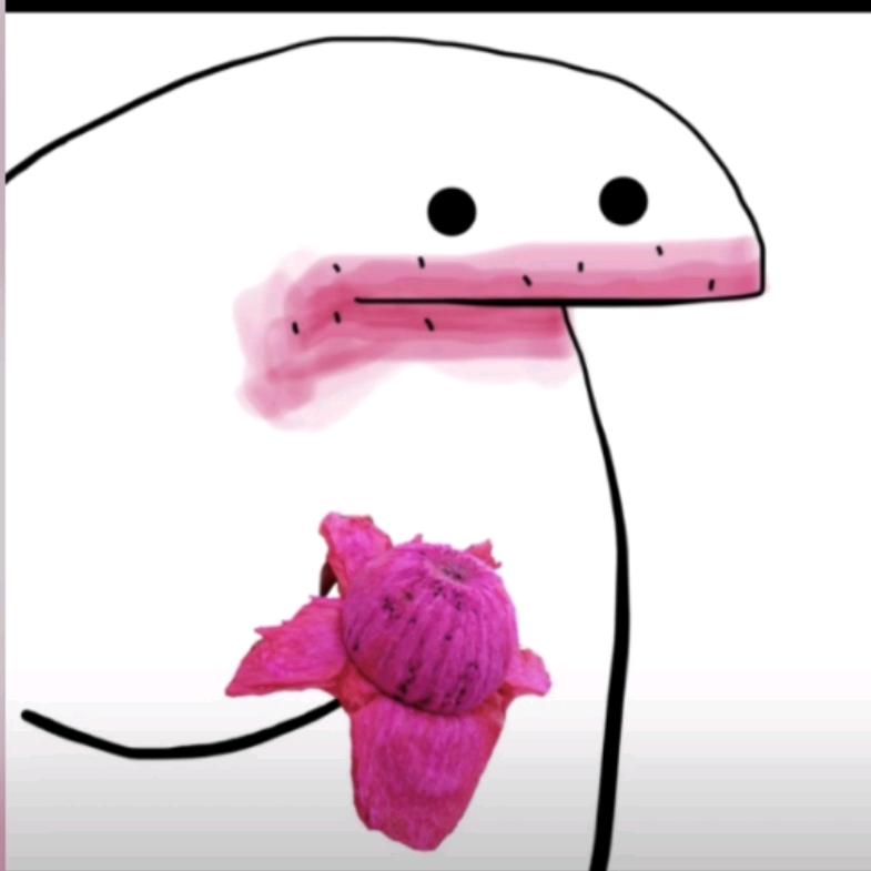 不吃洋葱