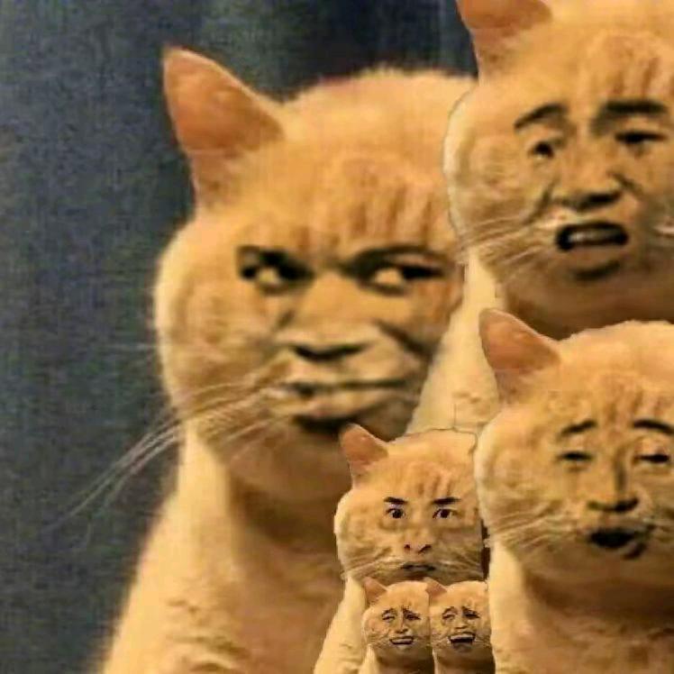 难崩君