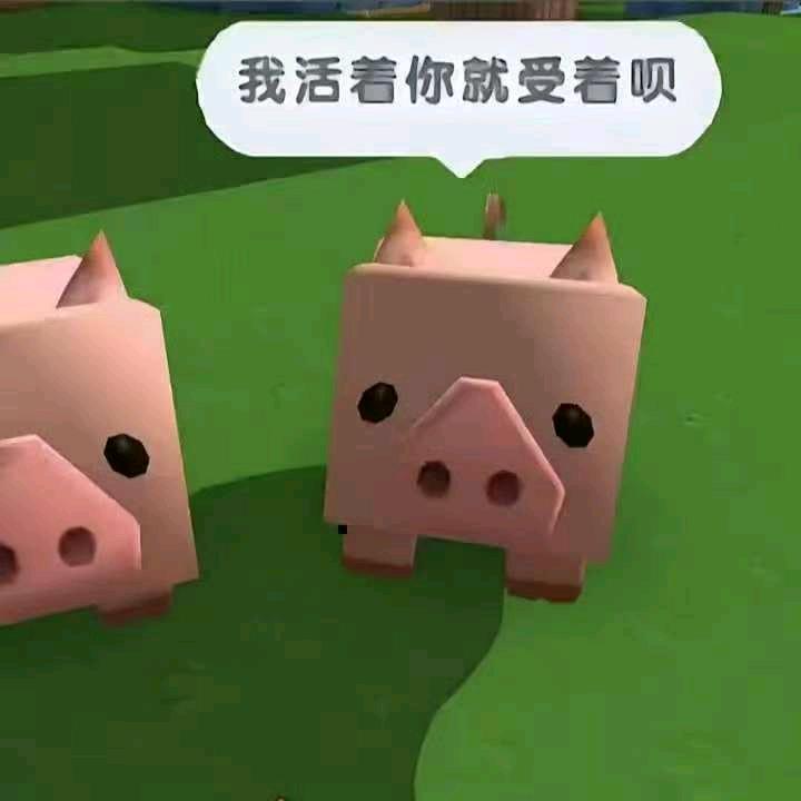 执着心