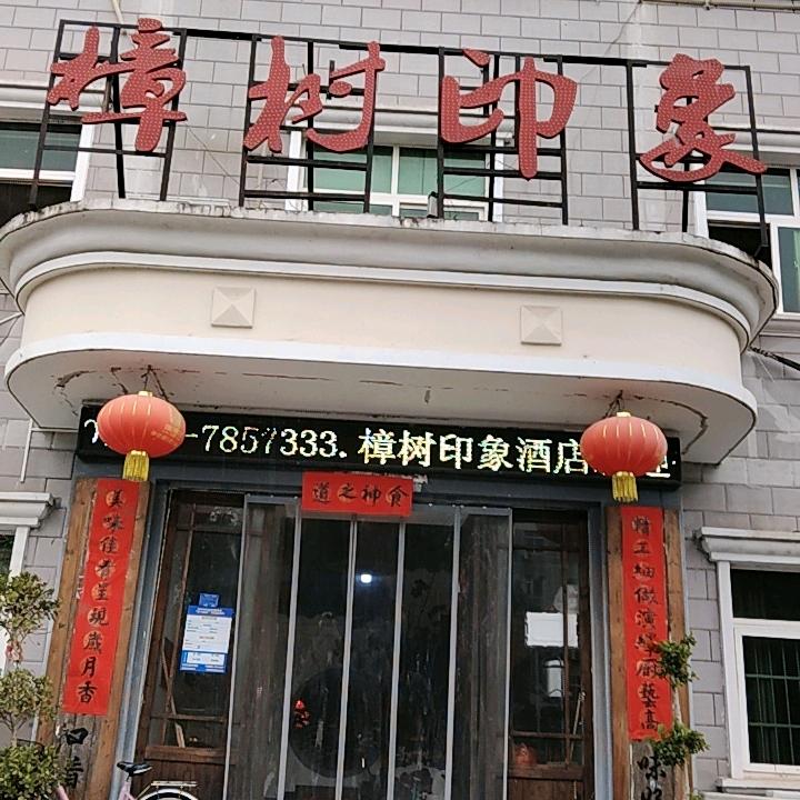 樟树印象