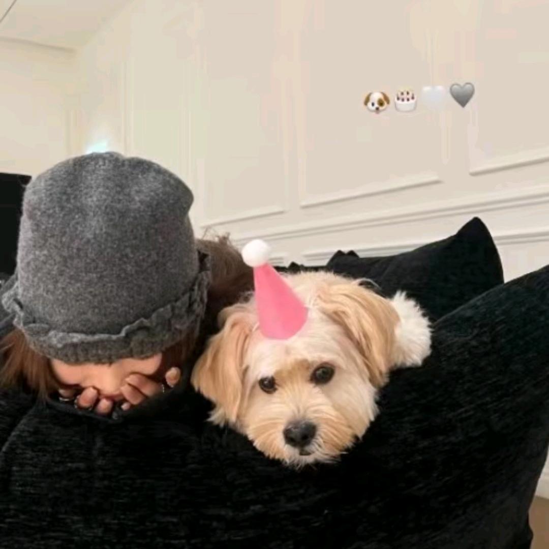 生气的烤冷面🍜