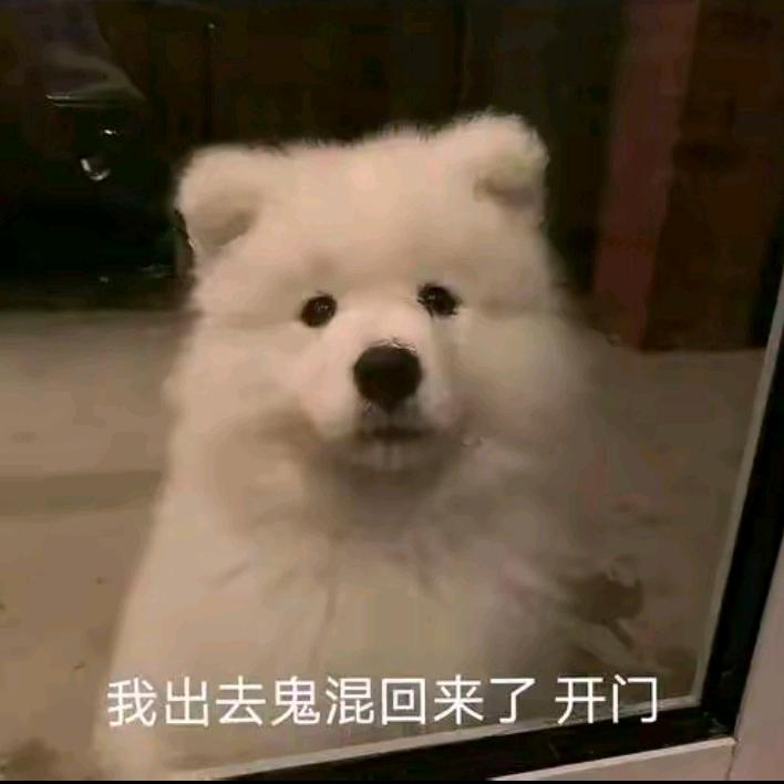 莎莎