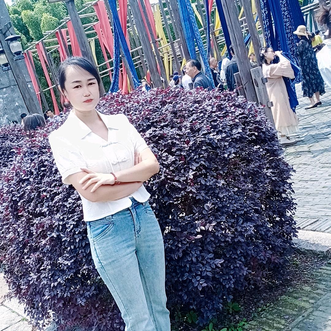 杨姐姐（首播）