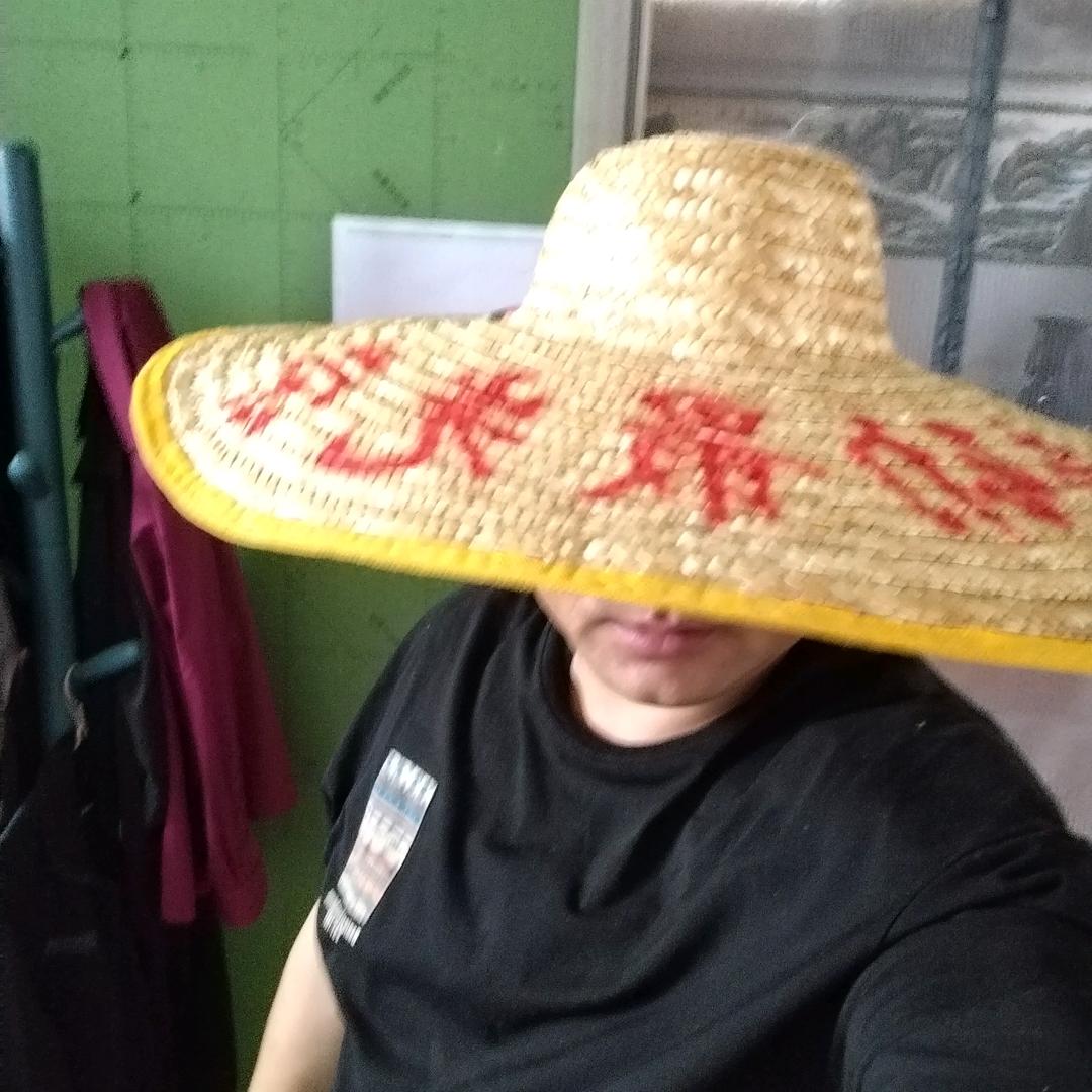 遇到晴天的兰花