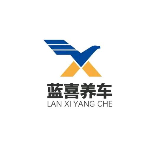 蓝喜养车  杨晨