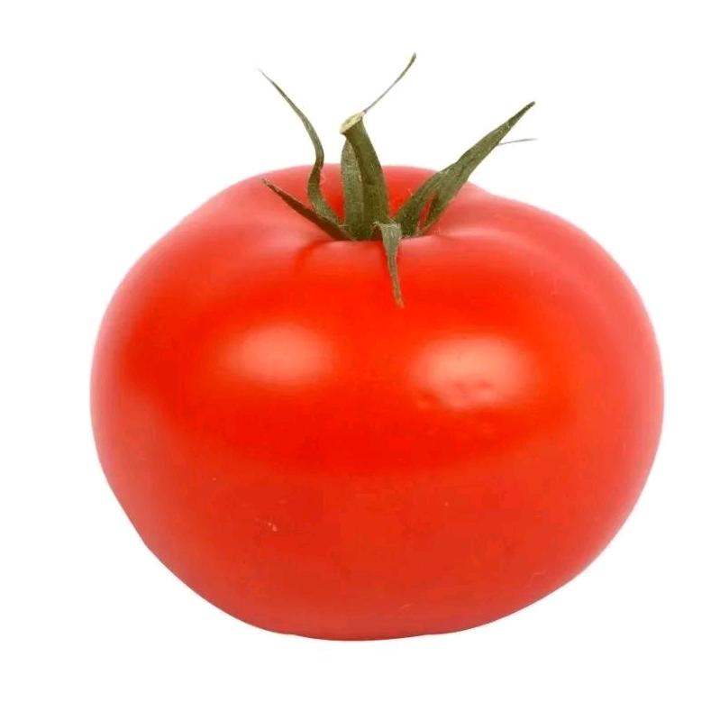 番茄教教主