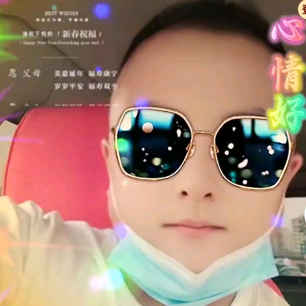 冰封的雪莲