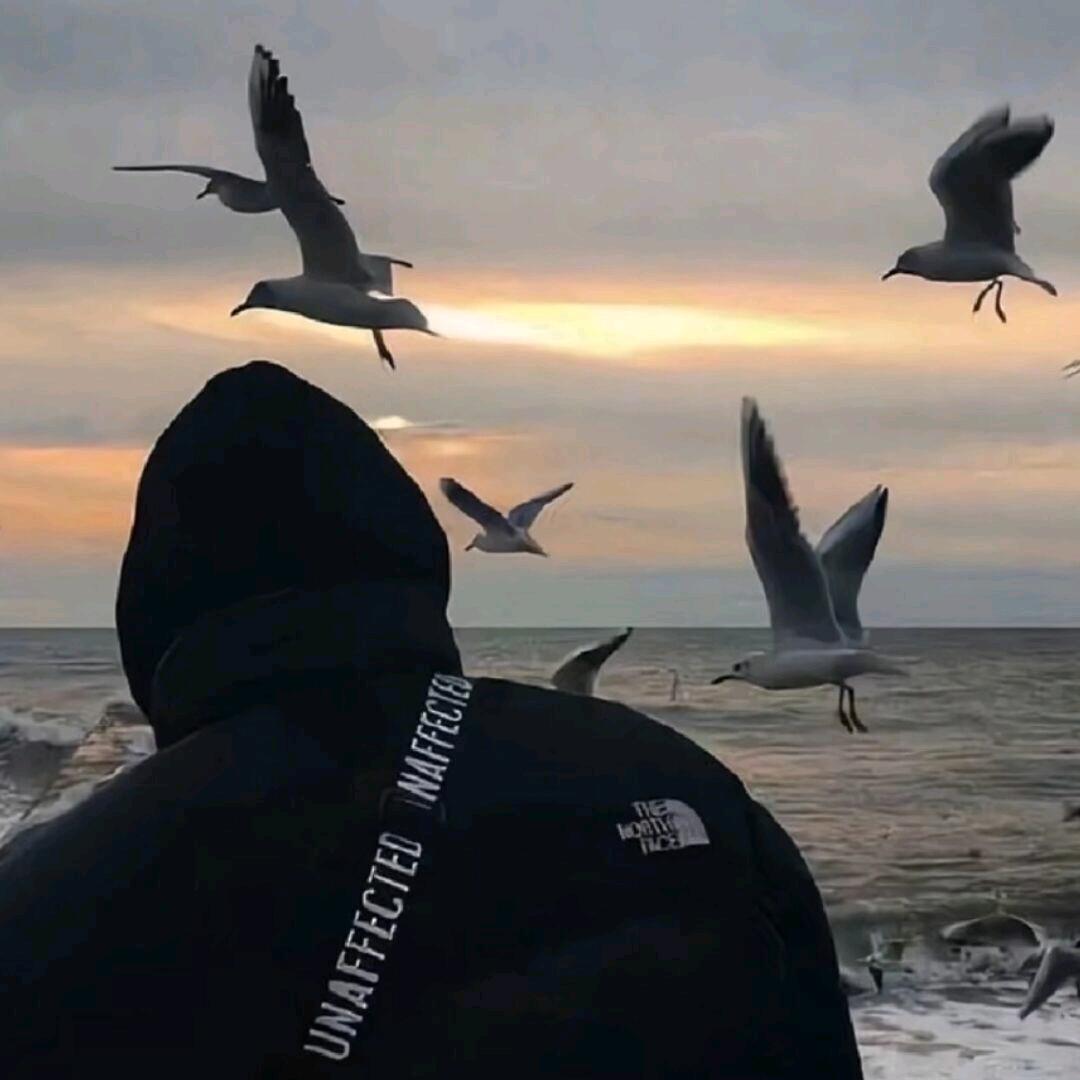 土皇帝成长计划