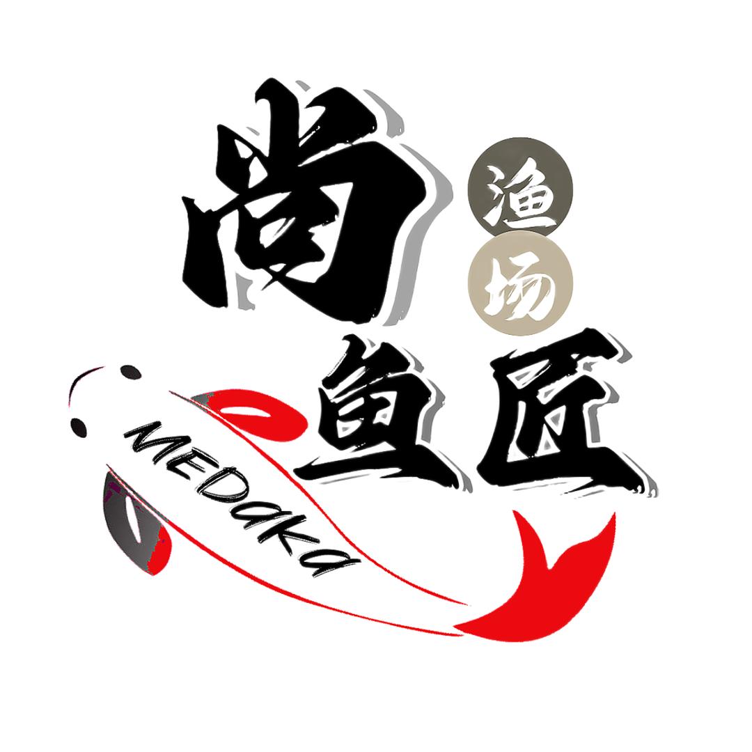 尚鱼匠观背青鳉