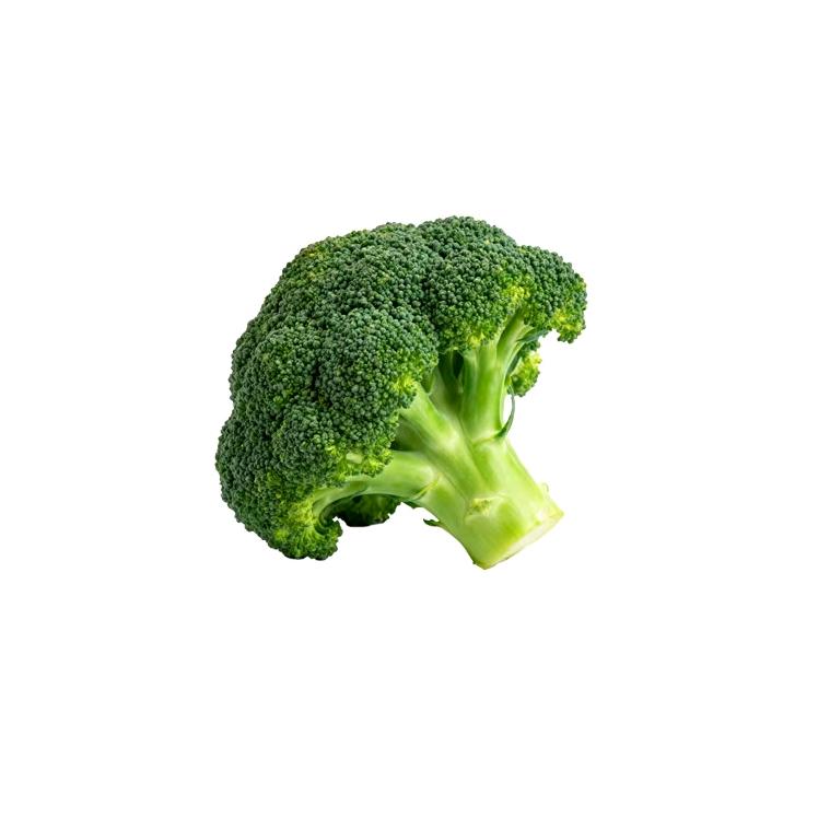 顾宁甄高级