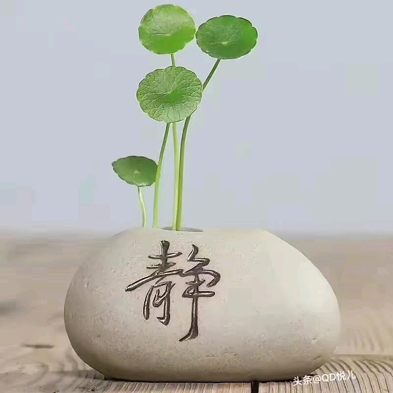 南歌