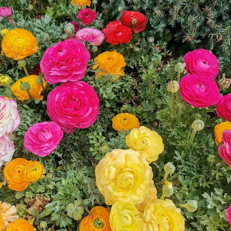 难忘❤️的心❤️