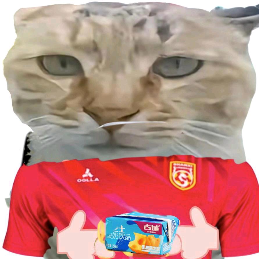 S36X
