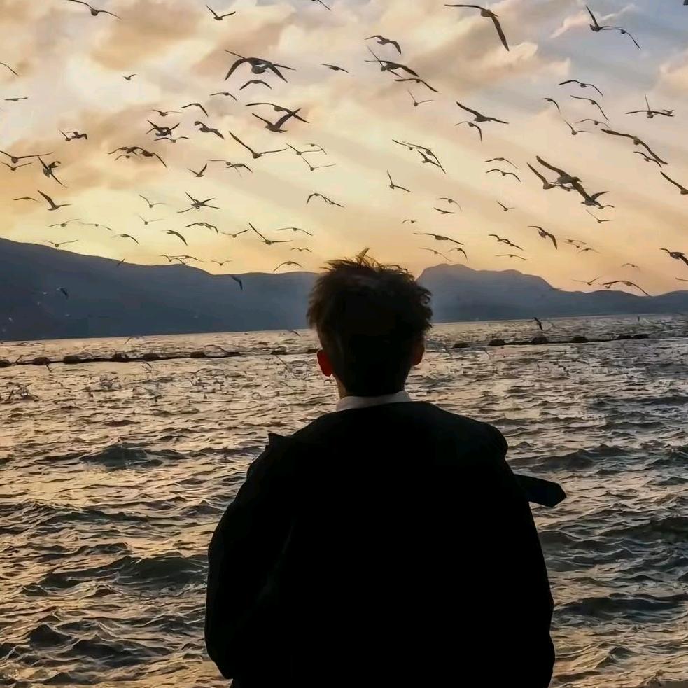 高考报考丁老师