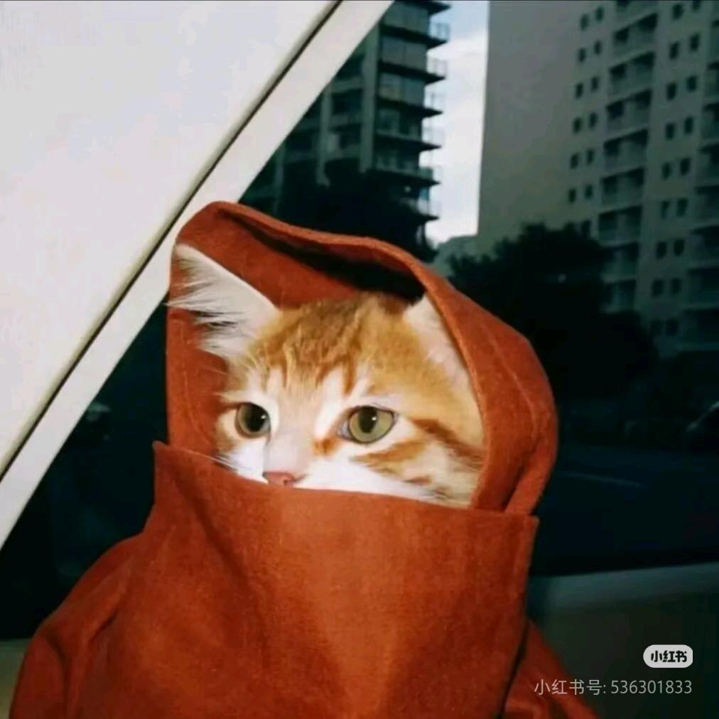 ABlIng（三角洲行动）