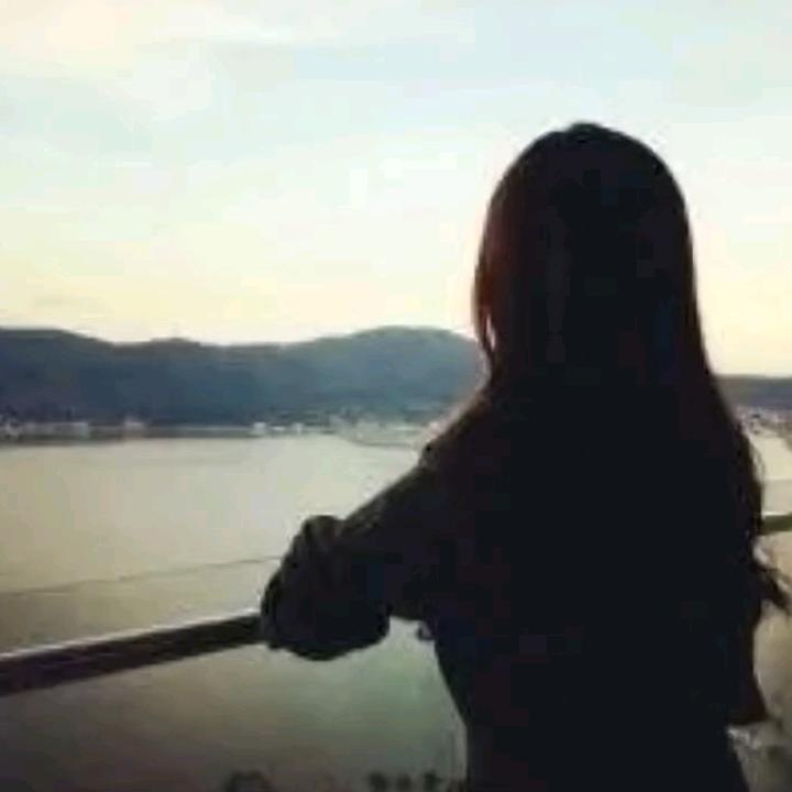 淡淡草季