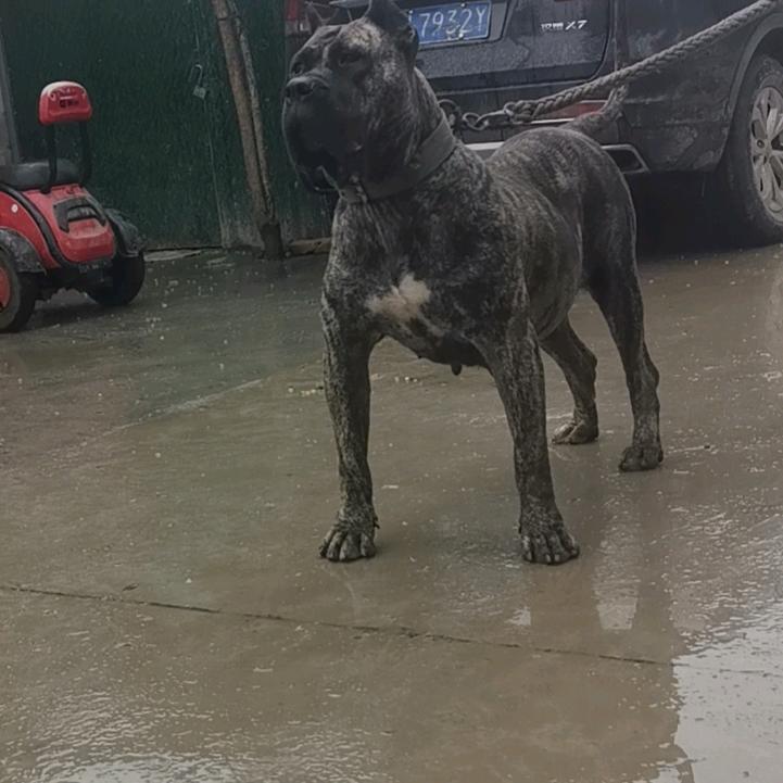 @李智会