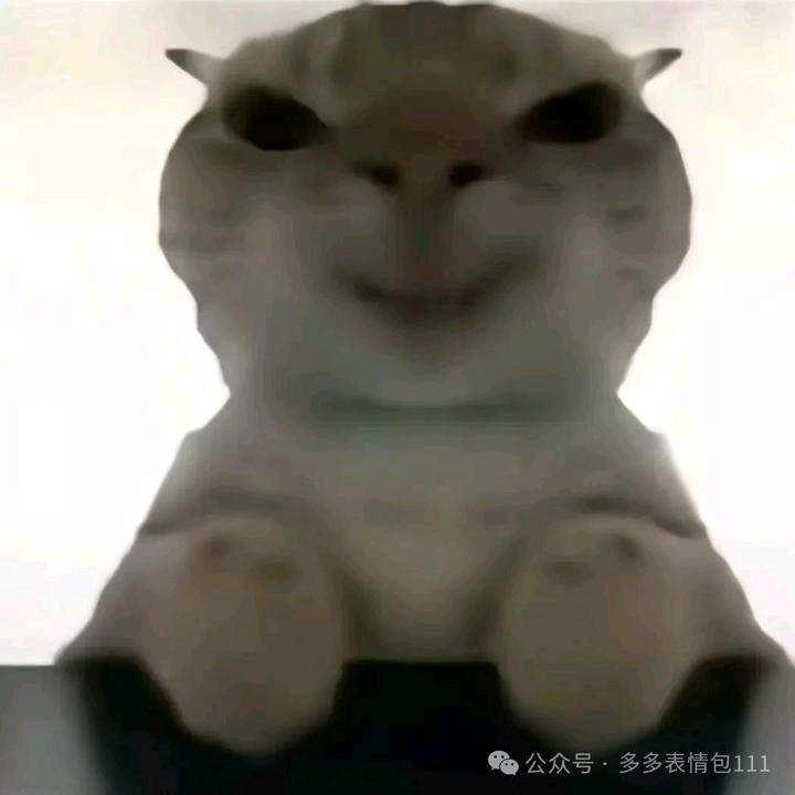 无语（三角洲行动全面战场）